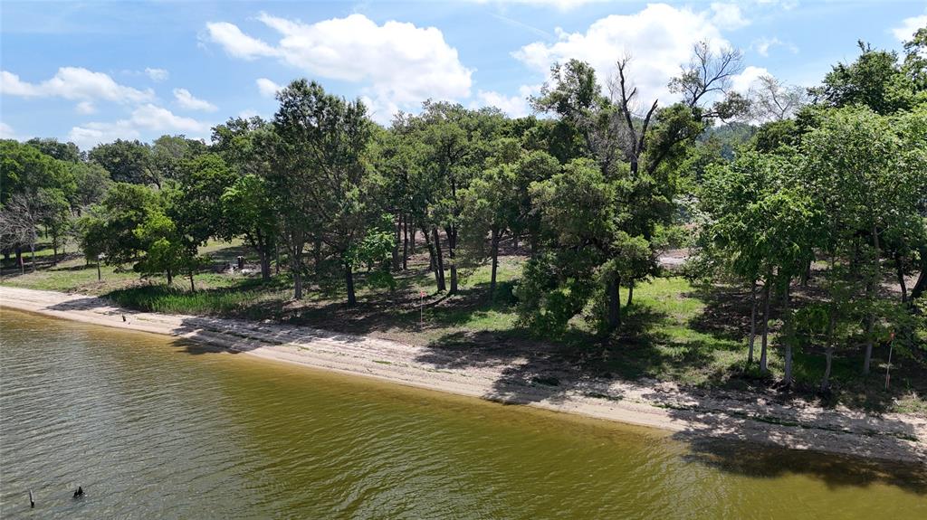 Lake Limestone shoreline