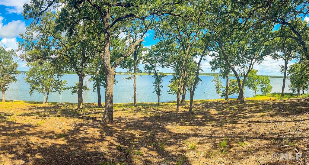 Wooded waterfront setting